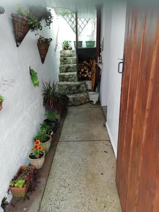 Clearview Cottage St Austell Extérieur photo